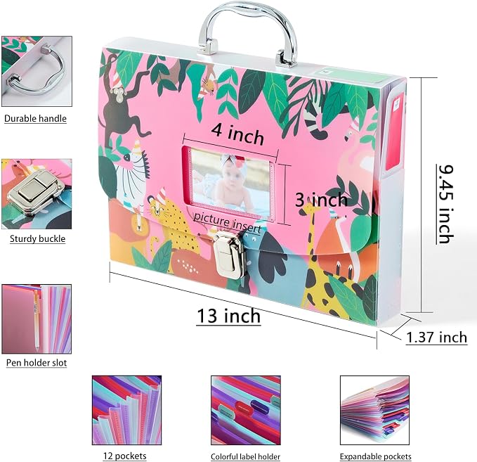 12 Pockets Baby File Organizer for Boy or Girl, Our Baby Paperwork Organizer with Silver Metal Handle, Lock, Pregnancy Documents, Baby Record Folder (Pink)