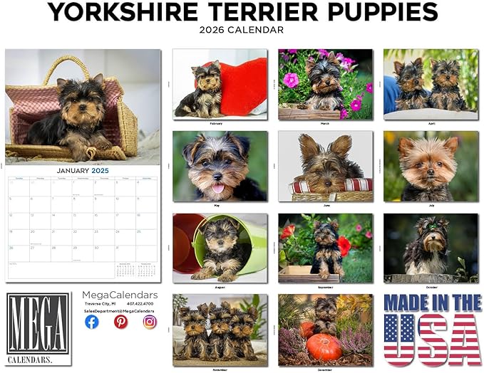 2025 2026 Yorkshire Terrier Puppies Calendar - Dog Breed Monthly Wall Calendar - 12" x 18" Open - Thick No-Bleed Paper - Giftable - Academic Teacher's Planner Calendar Organizing & Planning - Made USA