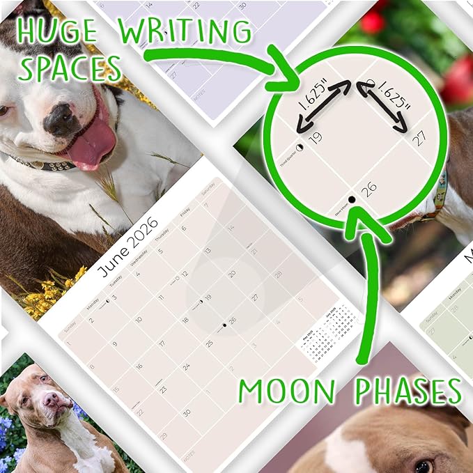 American Pit Bull Terrier Calendar 2026 by MegaCalendars – Monthly Dog Breed Wall Calendar, Made in USA