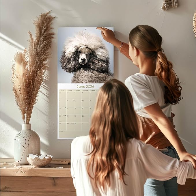 Poodle Toy and Miniature Calendar 2026 by MegaCalendars – Monthly Dog Breed Wall Calendar, Made in USA