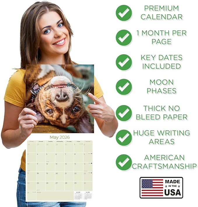 Basenji Calendar 2026 by MegaCalendars – Monthly Dog Breed Wall Calendar, Made in USA
