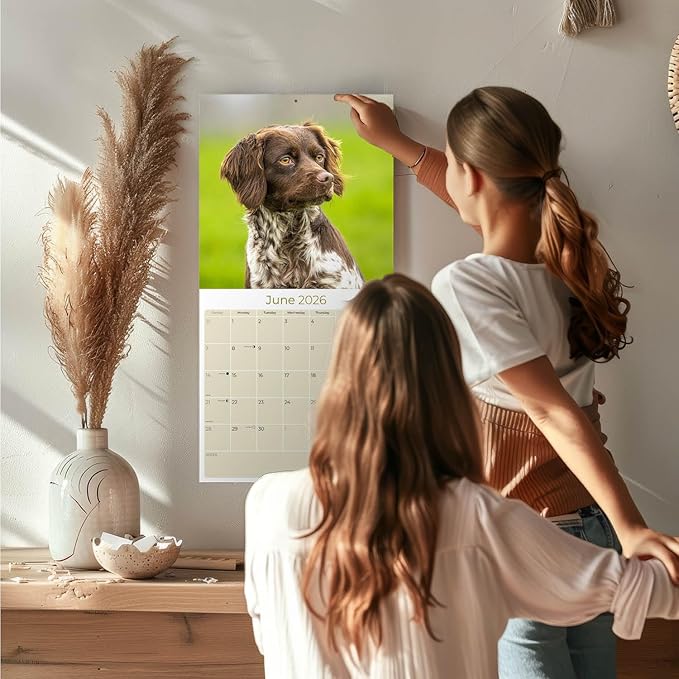 Brittany Calendar 2026 by MegaCalendars – Monthly Dog Breed Wall Calendar, Made in USA
