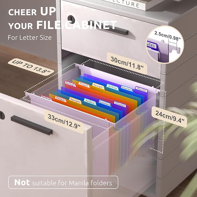 ThinkTex Plastic Expanding Hanging File Folders,12 Accordion Pockets,Large Capacity for Letter Size, Organizer for Filing Cabinet,Ideal for Tax,Contracts,Invoices,for Office,School-Purple-2set