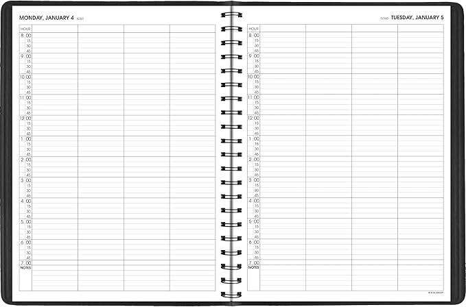 AT-A-GLANCE 2027 Appointment Book Planner, Daily Group Planner, 8" x 11", Four Person, Quarter-Hour, Black (708220527)