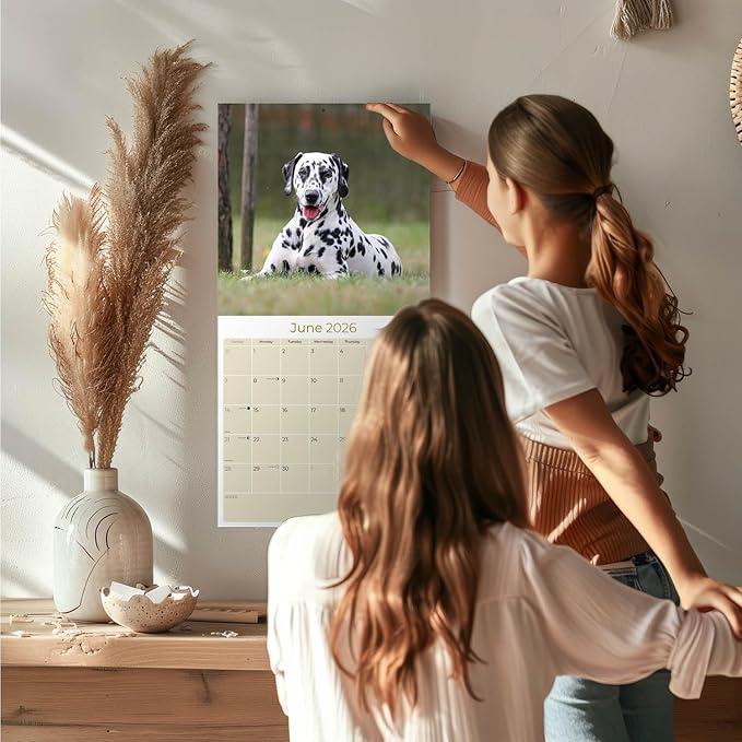 Dalmatian Calendar 2026 by MegaCalendars – Monthly Dog Breed Wall Calendar, Made in USA