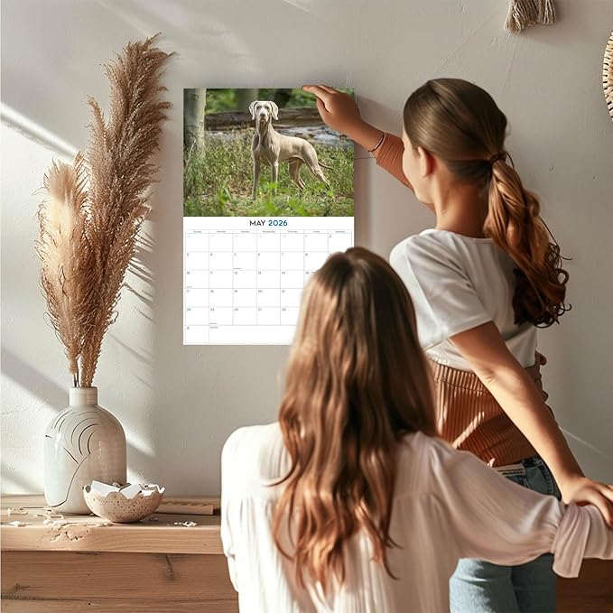 2025 2026 Weimaraner Calendar - Dog Breed Monthly Wall Calendar - 12" x 18" Open - Thick No-Bleed Paper - Giftable - Academic Teacher's Planner Calendar Organizing & Planning - Made in USA