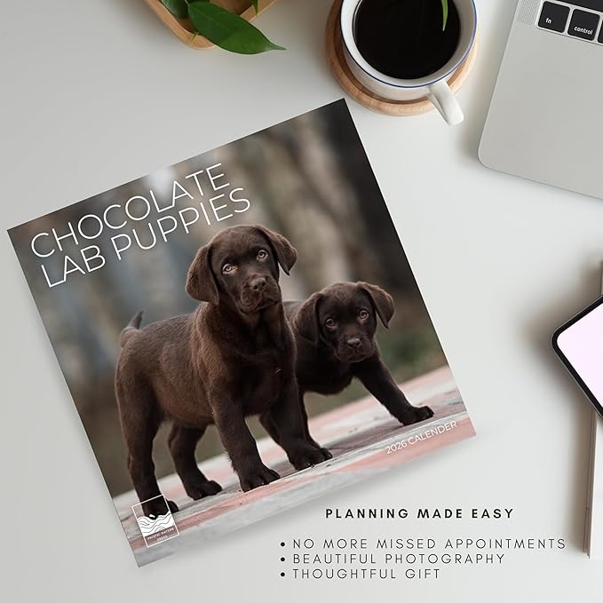 2026 Chocolate Labrador Puppies Wall Calendar | 12" x 24" Open | Dog Photography Thick & Sturdy Paper for Organizing & Planning | Office Kitchen Decor or Gift | Pacific Waters Press (Chocolate Lab Puppies)