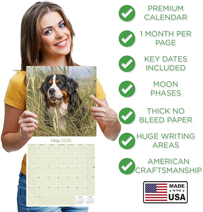 Bernese Mountain Dog Calendar 2026 – 16-Month Dog Breed Wall Calendar by MegaCalendars – Large Daily Blocks, Thick No-Bleed Paper, Made in USA