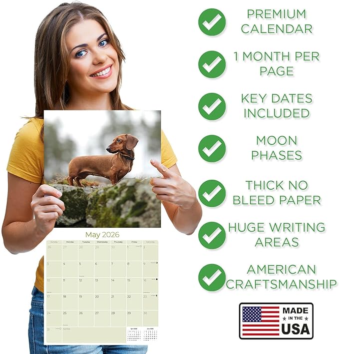 Dachshund Calendar 2026 by MegaCalendars – Monthly Dog Breed Wall Calendar, Made in USA