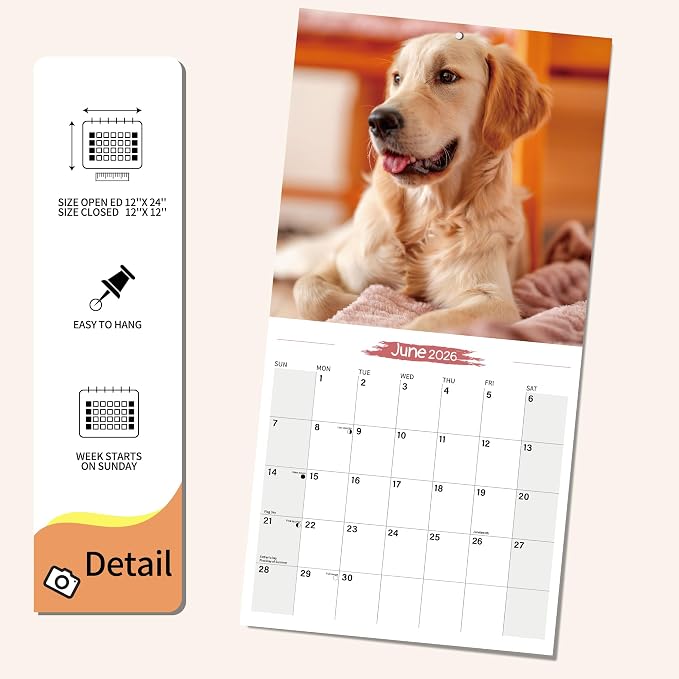 2026 Wall Calendar Golden Retriever Planner Calendar, Hangable Monthly Wall Calendar with Large Blocks for Organizing & Planning, Academic Schedule, Home, Office & family, Thick & Sturdy Paper (12"x24" Open)