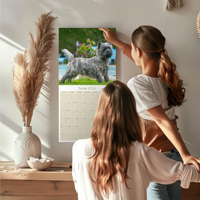 Cairn Terrier Calendar 2026 by MegaCalendars – Monthly Dog Breed Wall Calendar, Made in USA