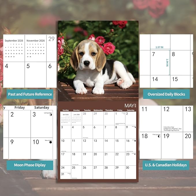 2026 Wall Calendar,Beagle Wall Calendar, 12" x 24" Open,Family Planner Calendar Organizer with Beagle Images, for Dogs Lovers