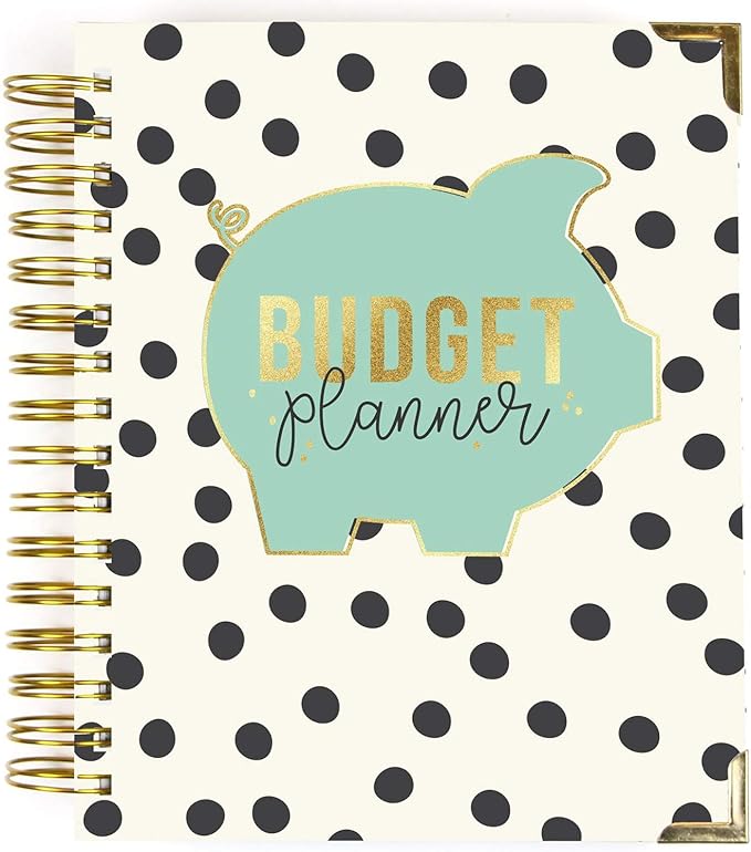Pukka Pad, Carpe Diem Budget Planner Spiral Bound Notebook with 12 Month Calendar, Dividers, Inserts, and Sticker Sheets – Features Savings Goals & Tracker, Financial Overview, and Bank Information