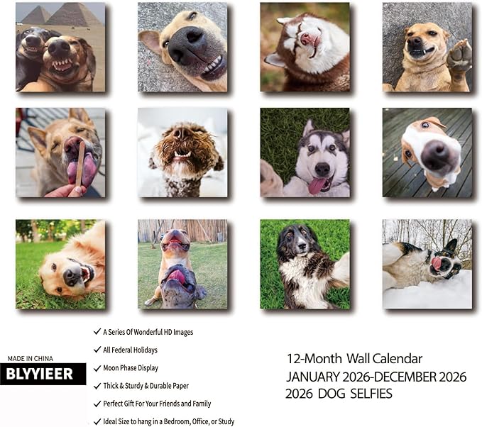 Dog Selfies 2026 Wall Calendar | 12" x 24" Open Hangable Monthly | Thick & Sturdy Paper | Funny Dogs | Family Planner Calendar