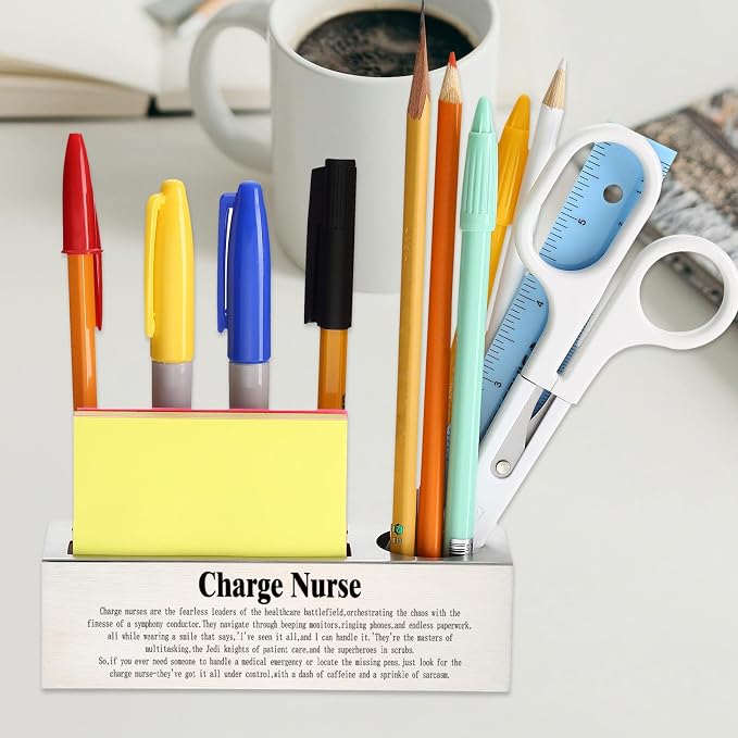 Funny Charge Nurse Appreciation Gift for Head Nurses Healthcare Leaders, Nurse Office Décor for Hospital Workstations, Medical Professional Humor Gift, office Pencil Holder Desk for Desk SD280