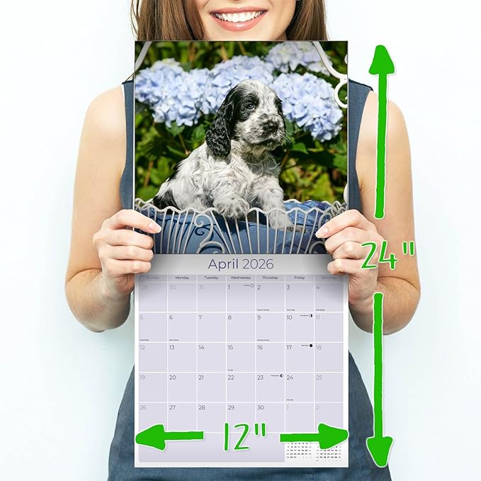 Cocker Spaniel Pups Calendar 2026 by MegaCalendars – Monthly Dog Breed Wall Calendar, Made in USA