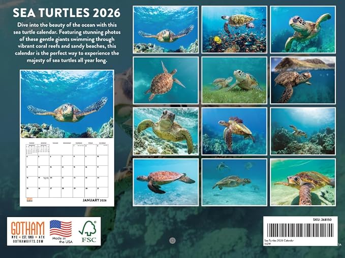 Sea Turtle Calendar 2026 Wall 12 Month Sea Turtles Gifts For Sea Turtle Lovers Women Men Monthly Calender| American Made In The USA
