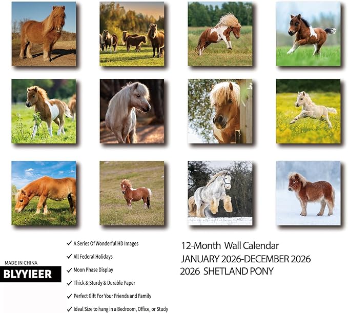 2026 Wall Calendar,Calendar 2026,Shetland Pony Cattle Monthly Wall Calendar, 12" x 24" Open,Family Planner Calendar, Home & Office Organizer,Hangable