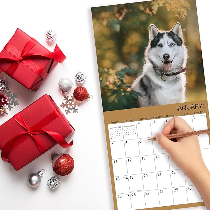 2025-2026 Wall Calendar,Siberian Husky Wall Calendar, 12" x 24" Open,Family Planner Calendar Organizer with Husky Images, for Dogs Lovers