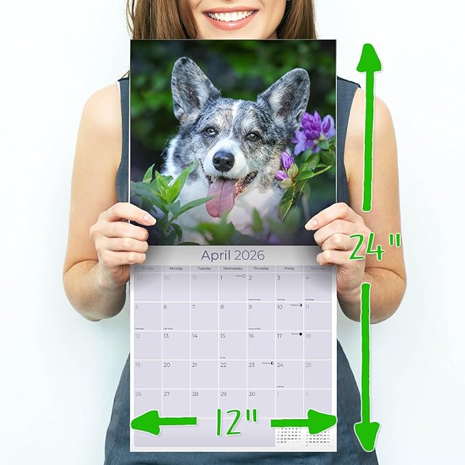 Corgi Calendar 2026 by MegaCalendars – Monthly Dog Breed Wall Calendar, Made in USA