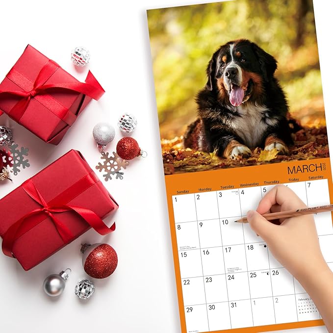 2026 Wall Calendar,Bernese Mountain Wall Calendar, 12" x 24" Open,Family Planner Calendar Organizer with Bernese Mountain dog Images, for Dogs Lovers