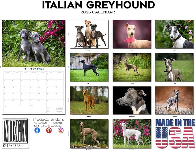 2025 2026 Italian Greyhound Calendar - Dog Breed Monthly Wall Calendar - 12" x 18" Open - Thick No-Bleed Paper - Giftable - Academic Teacher's Planner Calendar Organizing & Planning - Made in USA