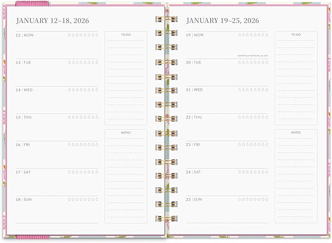 Orange Circle Studio Academic Planner 2026, Coneflower, 17-Month Oliver Planners, Wire-O Bound Monthly Calendar Book, Appointment, Goal & Budget Trackers, Includes 100 Full Color Stickers