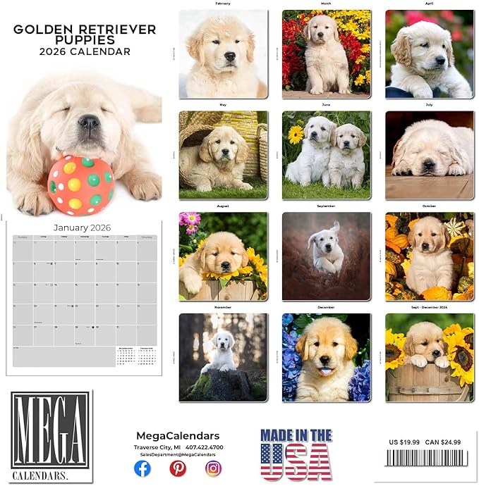 Golden Retriever Puppies Calendar 2026 – 16-Month Dog Breed Wall Calendar by MegaCalendars – Large Daily Blocks, Thick No-Bleed Paper, Made in USA