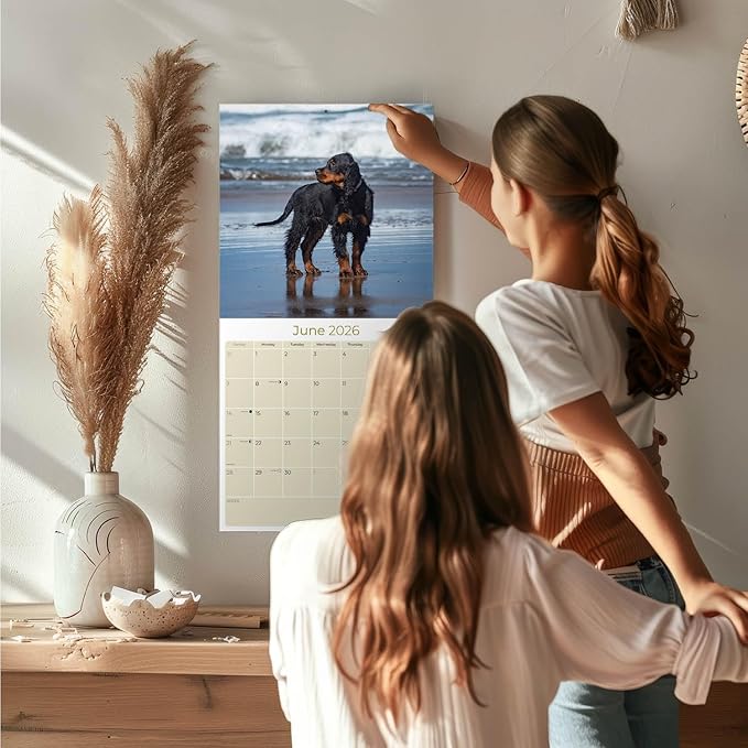 Gordon Setter Calendar 2026 by MegaCalendars – Monthly Dog Breed Wall Calendar, Made in USA
