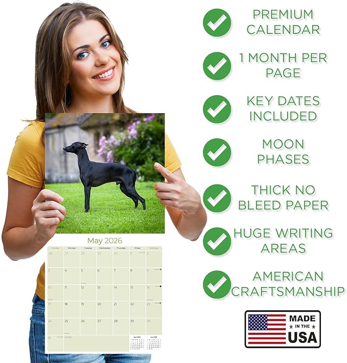 Italian Greyhound Calendar 2026 by MegaCalendars – Monthly Dog Breed Wall Calendar, Made in USA