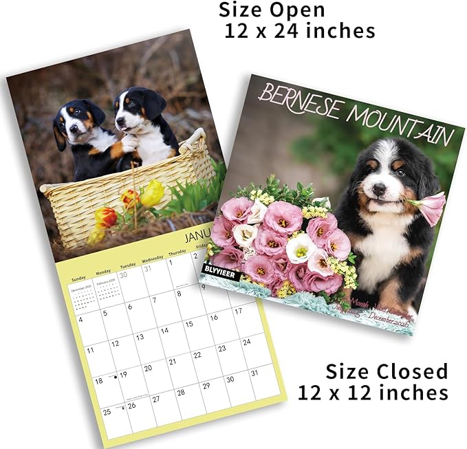 2026 Wall Calendar,Bernese Mountain Wall Calendar, 12" x 24" Open,Family Planner Calendar Organizer with Bernese Mountain dog Images, for Dogs Lovers