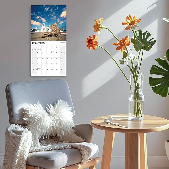 Wall Calendar 2026 Planner Calendar - Cat arond a world Hangable Monthly Wall Calendar with Large Blocks for Organizing & Planning, Academic Schedule, Home, Office & family, Thick & Sturdy Paper (12"x24" Open)