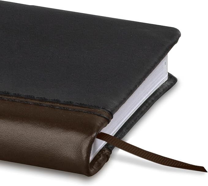 AT-A-GLANCE 2027 Planner, Weekly & Monthly, 2.75" x 4.25", Pocket Size Fine Diary, Faux Leather Hardcover, Black Brown (74010527)