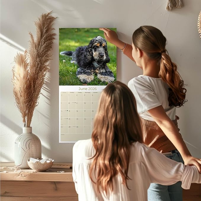 Cocker Spaniel Pups Calendar 2026 by MegaCalendars – Monthly Dog Breed Wall Calendar, Made in USA