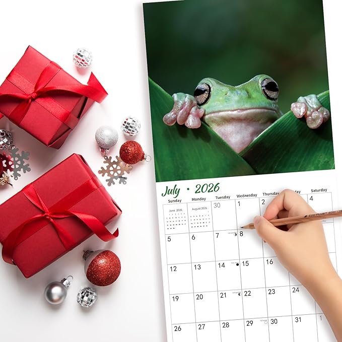 2026 Wall Calendar,Calendar 2026,Frog Monthly Wall Calendar, 12" x 24" Open,Family Planner Calendar, Home & Office Organizer,Hangable