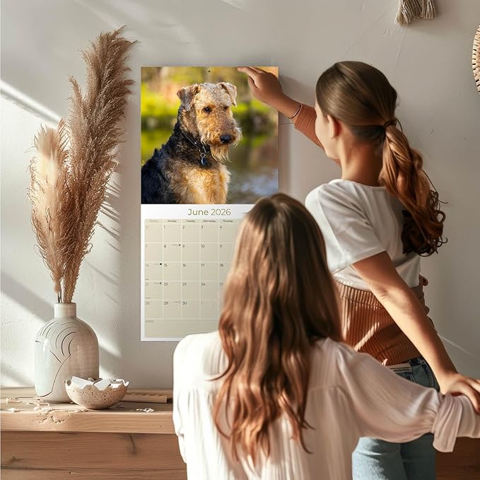 Airedale Calendar 2026 by MegaCalendars – Monthly Dog Breed Wall Calendar, Made in USA