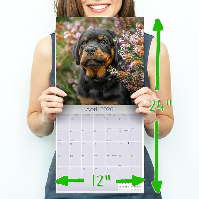 Rottweiler Calendar 2026 by MegaCalendars – Monthly Dog Breed Wall Calendar, Made in USA