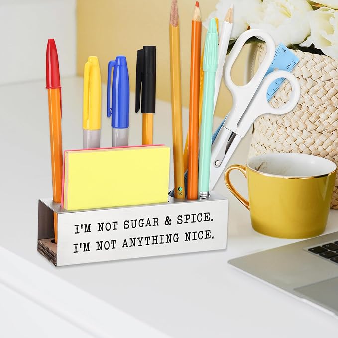 Funny Office Desk for Women, I’M NOT SUGAR & SPICE. I’M NOT ANYTHING NICE, Sarcastic Workplace Humor Gift for Sassy Coworkers & Friends, joke Gift, Office Pencil Holder for Desk SD284