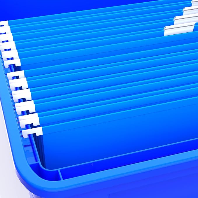 Storex Plastic File Tote, Letter/Legal Files, 18.5" X 14.25" X 10.88", Blue/Clear