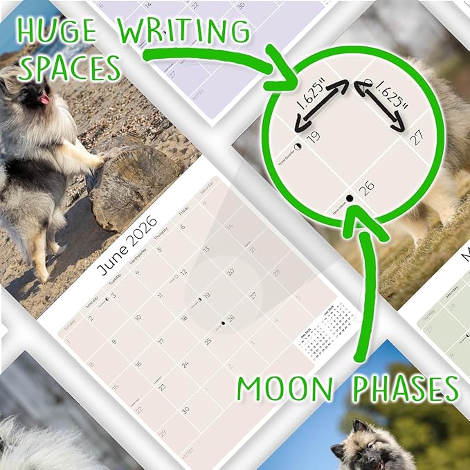 Keeshond Calendar 2026 by MegaCalendars – Monthly Dog Breed Wall Calendar, Made in USA