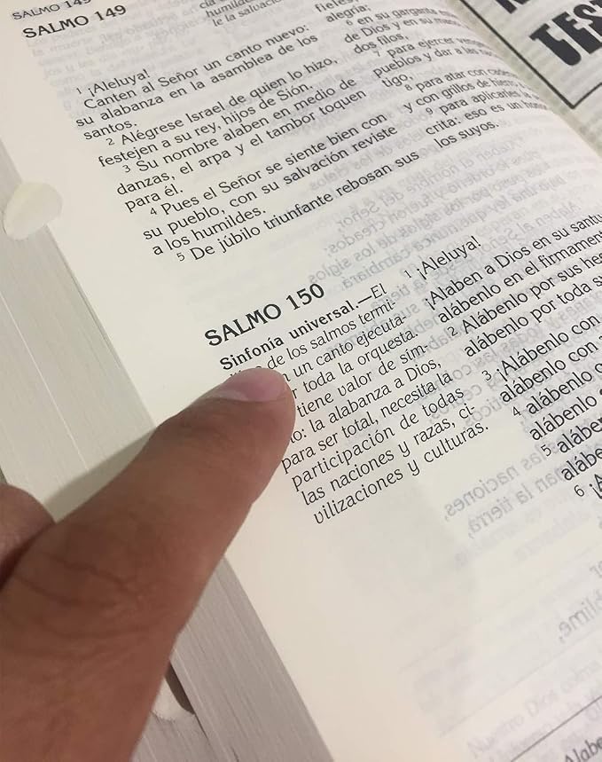 La Biblia Catolica Latinoamericana Letra Grande Edicion Cartone en Español con Señalador Biblico - The Latin American Catholic Bible Spanish Edition with Bookmarks (Assorted)