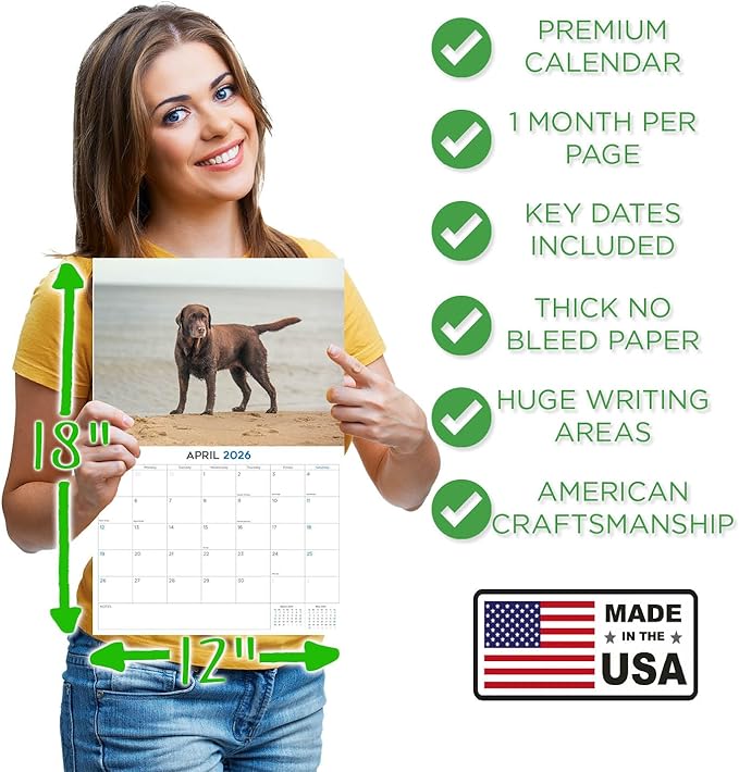 2025 2026 Labrador Chocolate Calendar - Dog Breed Monthly Wall Calendar - 12" x 18" Open - Thick No-Bleed Paper - Giftable - Academic Teacher's Planner Calendar Organizing & Planning - Made in USA