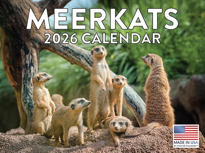 Meerkat Calendar 2026 Monthly Wall Calender 12 Month | American Made In The USA