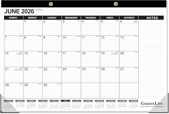 GuassLee Extra Large Desk Calendar 2026, 19 Months Jumbo Desk/Wall Calendar from Jun. 2026 through Dec. 2027, 30 x 20 Inches Hanging Planner with Julian Date, Notes for Home School Office Organizing