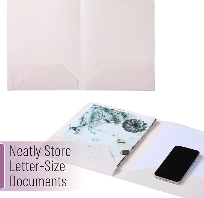 Mr. Pen- Plastic Folders with Pockets, 15 pcs, Aesthetic File Folder with Business Card Slot, 2-Pocket Folder, Back to School, Office, Filing Supplies