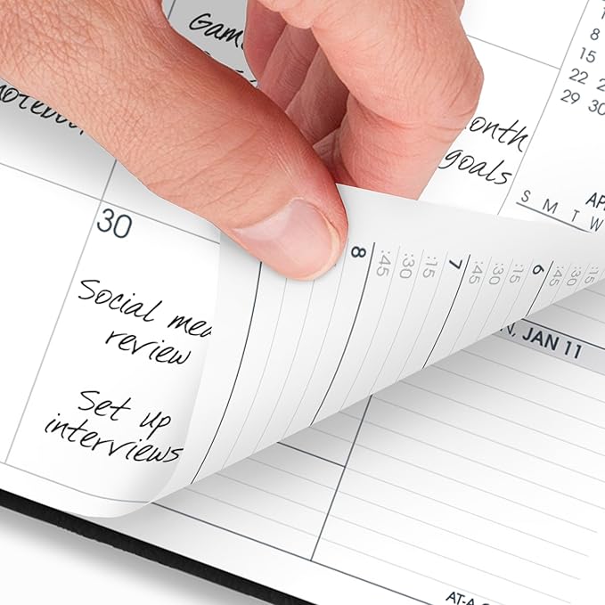AT-A-GLANCE 2026 Appointment Book Planner, Weekly & Monthly, 8-1/4" x 11", Quarter-Hourly, Triple View, Black (70950V0526)
