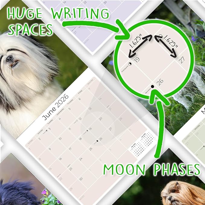 2025 2026 Lhasa Apso Calendar - Dog Breed Monthly Wall Calendar - 12" x 24" Open - Thick No-Bleed Paper - Giftable - Academic Teacher's Planner Calendar Organizing & Planning - Made in USA