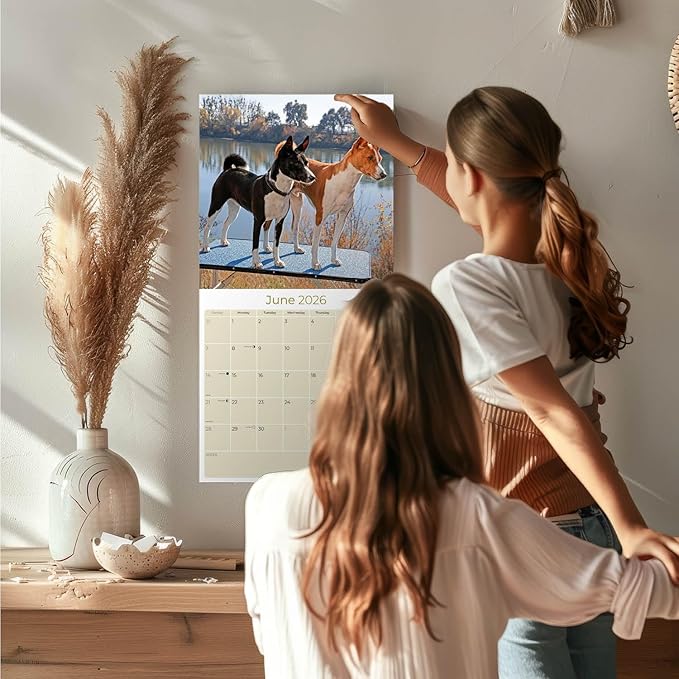 Basenji Calendar 2026 by MegaCalendars – Monthly Dog Breed Wall Calendar, Made in USA