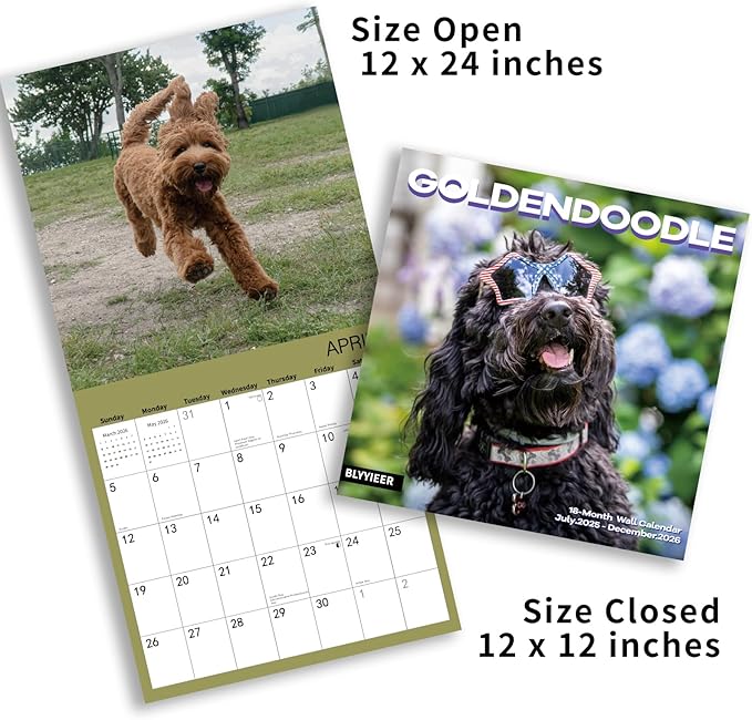 2025-2026 Wall Calendar,Goldendoodle Wall Calendar, 12" x 24" Open,Family Planner Calendar Organizer with Goldendoodle Images, for Dogs Lovers