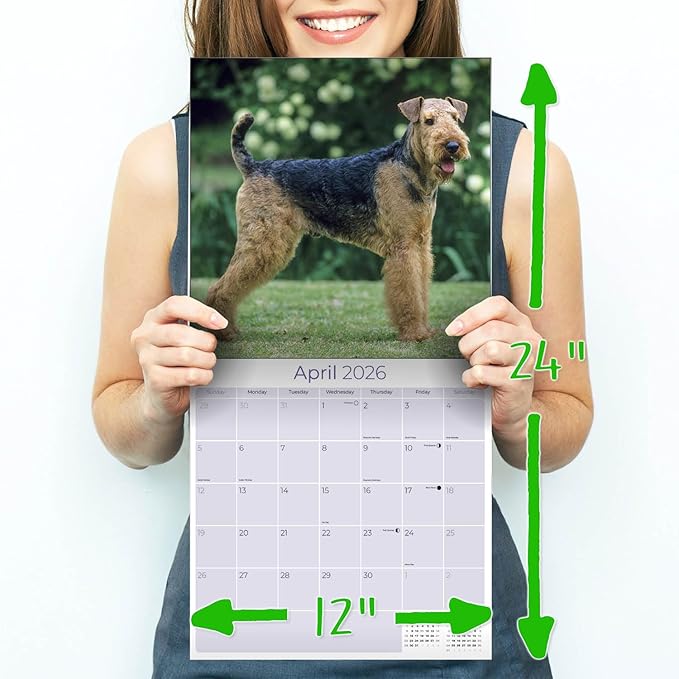 Airedale Calendar 2026 by MegaCalendars – Monthly Dog Breed Wall Calendar, Made in USA